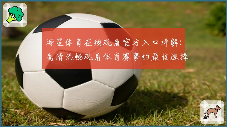海星体育在线观看官方入口详解：高清流畅观看体育赛事的最佳选择
