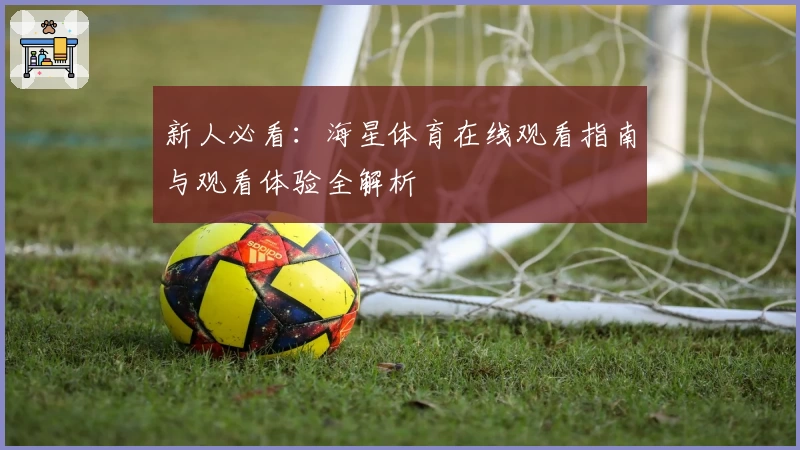 新人必看：海星体育在线观看指南与观看体验全解析