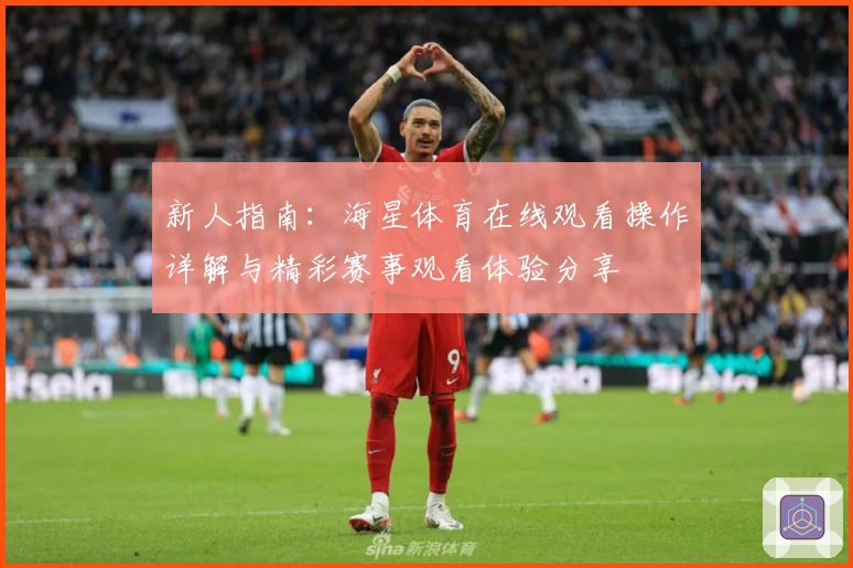 新人指南:海星体育在线观看操作详解与精彩赛事观看体验分享