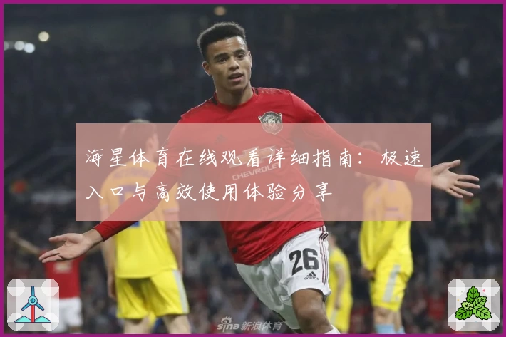海星体育在线观看详细指南：极速入口与高效使用体验分享