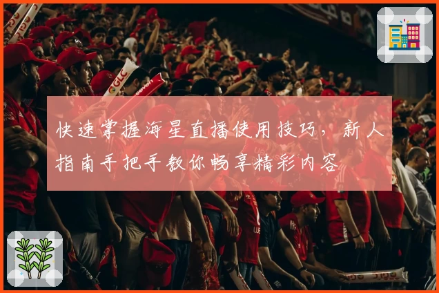 快速掌握海星直播使用技巧，新人指南手把手教你畅享精彩内容