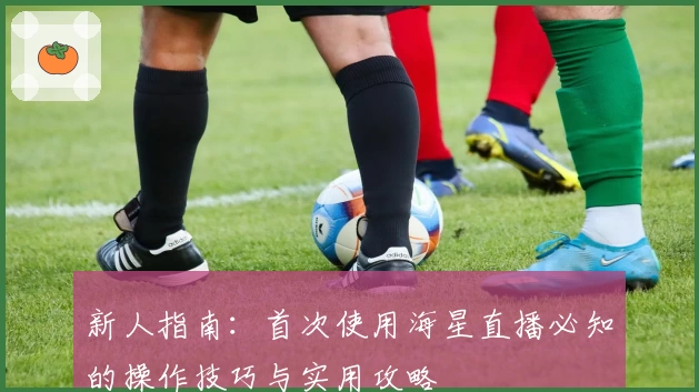新人指南：首次使用海星直播必知的操作技巧与实用攻略