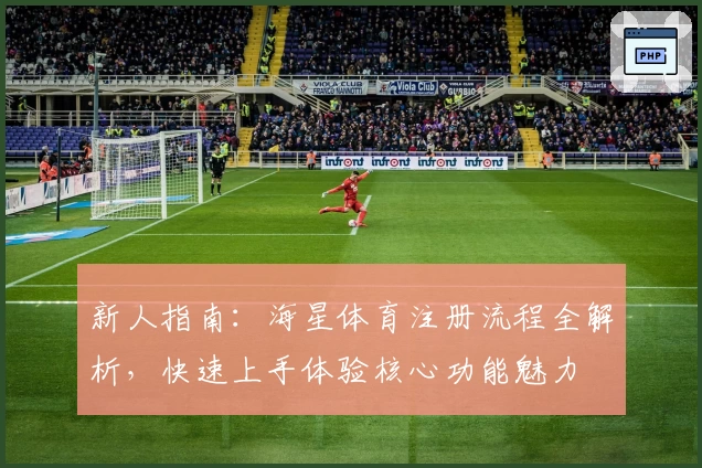 新人指南：海星体育注册流程全解析，快速上手体验核心功能魅力